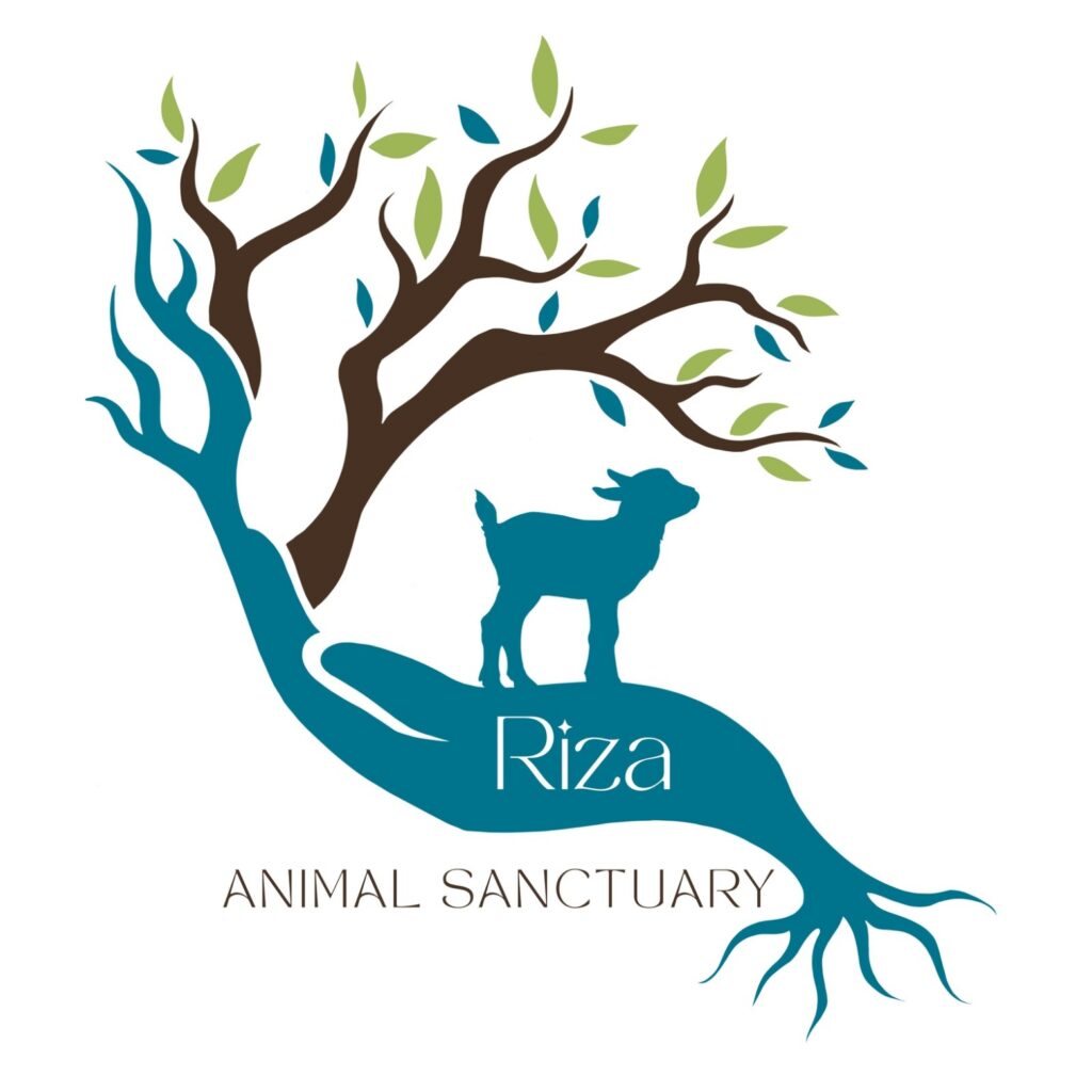 Riza animal sanctuary animal image 2